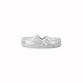 Anillo Sierra